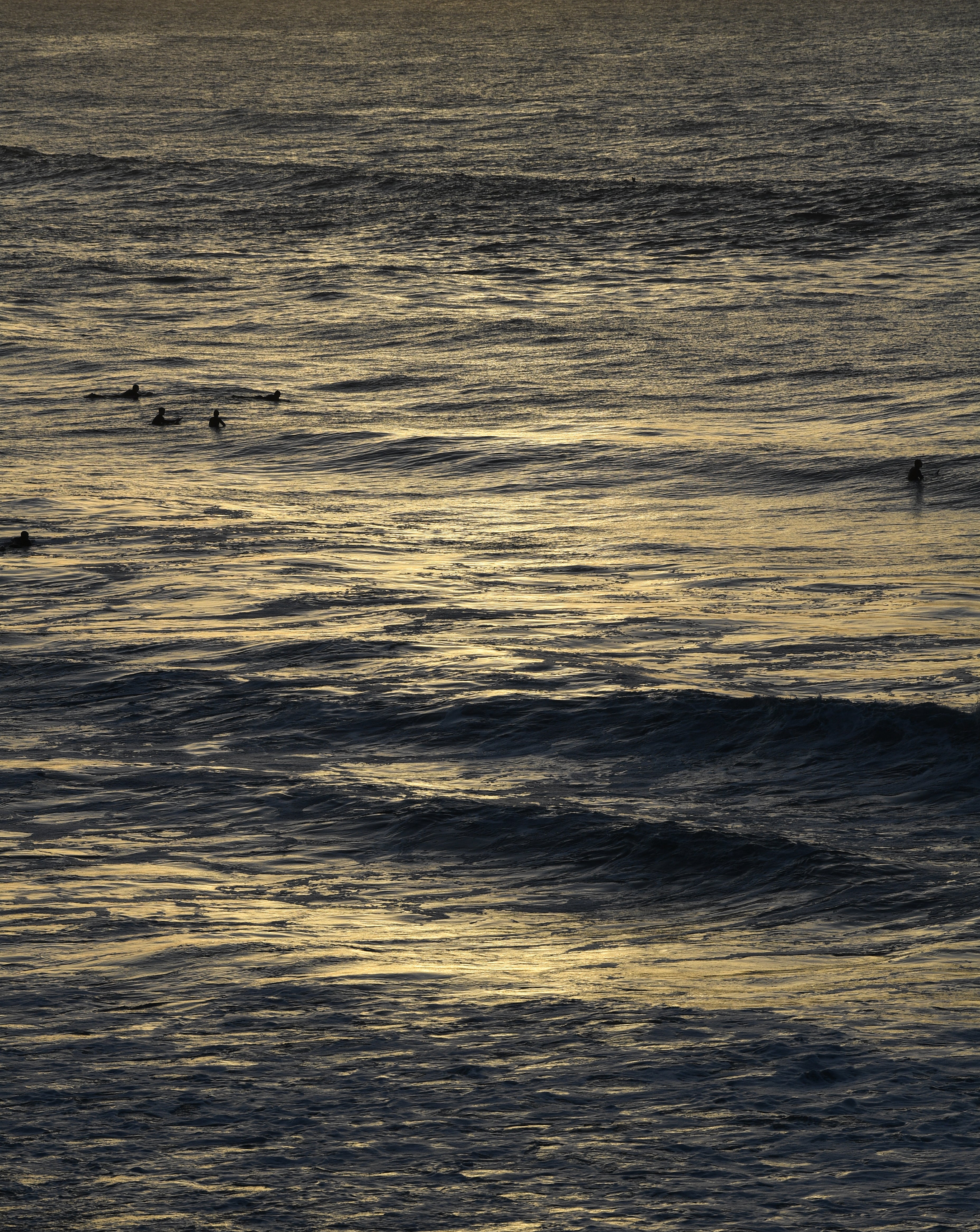 Sunrise Surfers