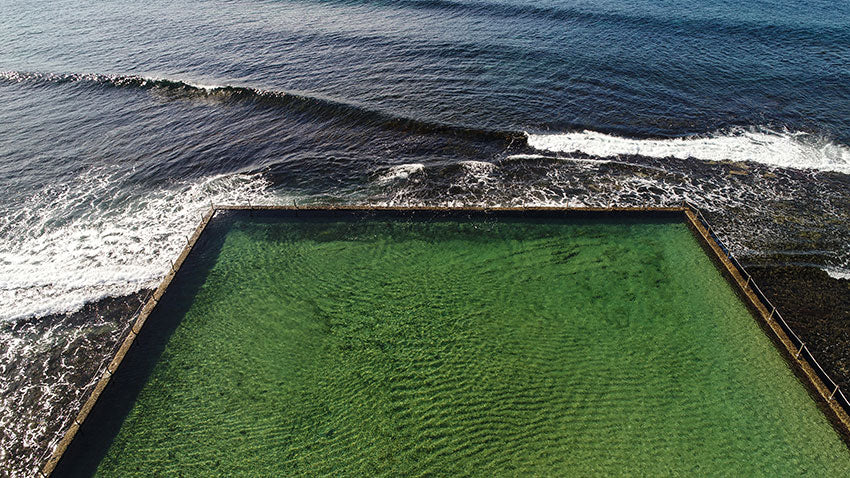 Rockpool Shelley