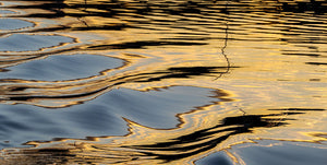 Sunset ripples