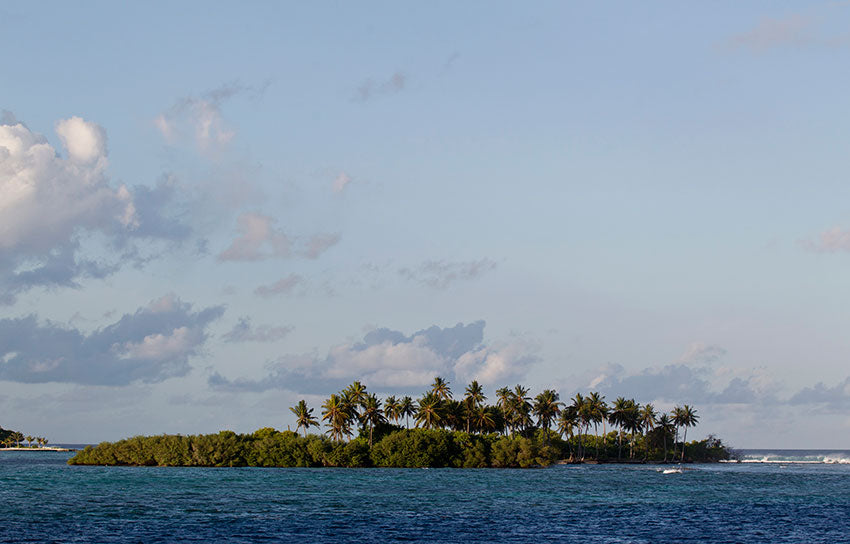 Palmy Island