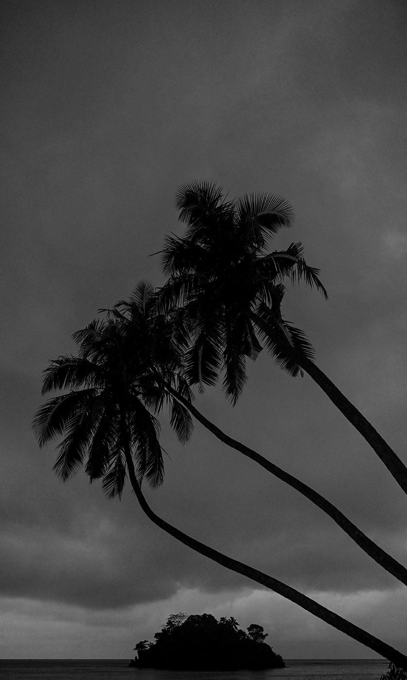 Island Vibes B+W