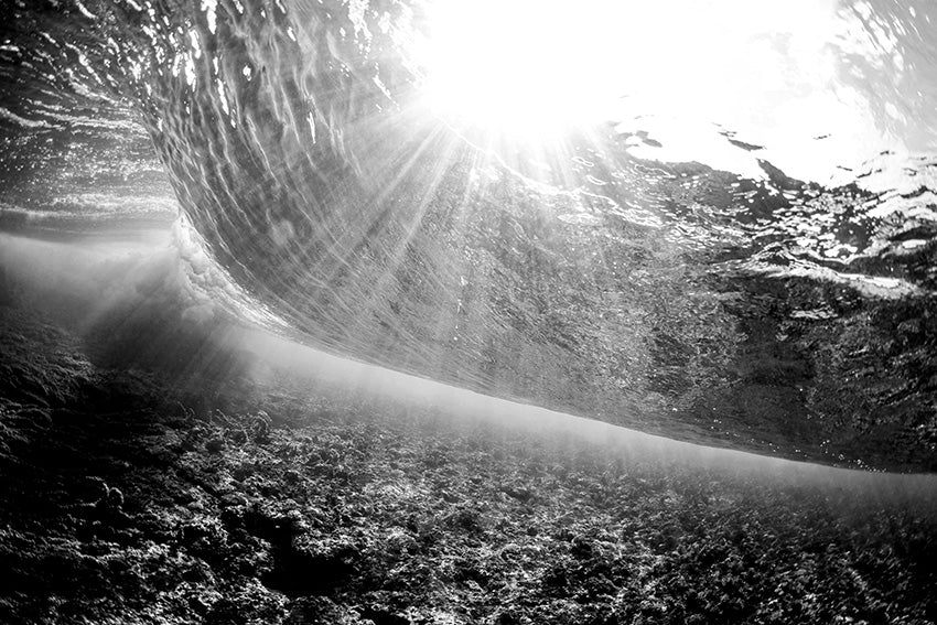 Sunshine Reef BW